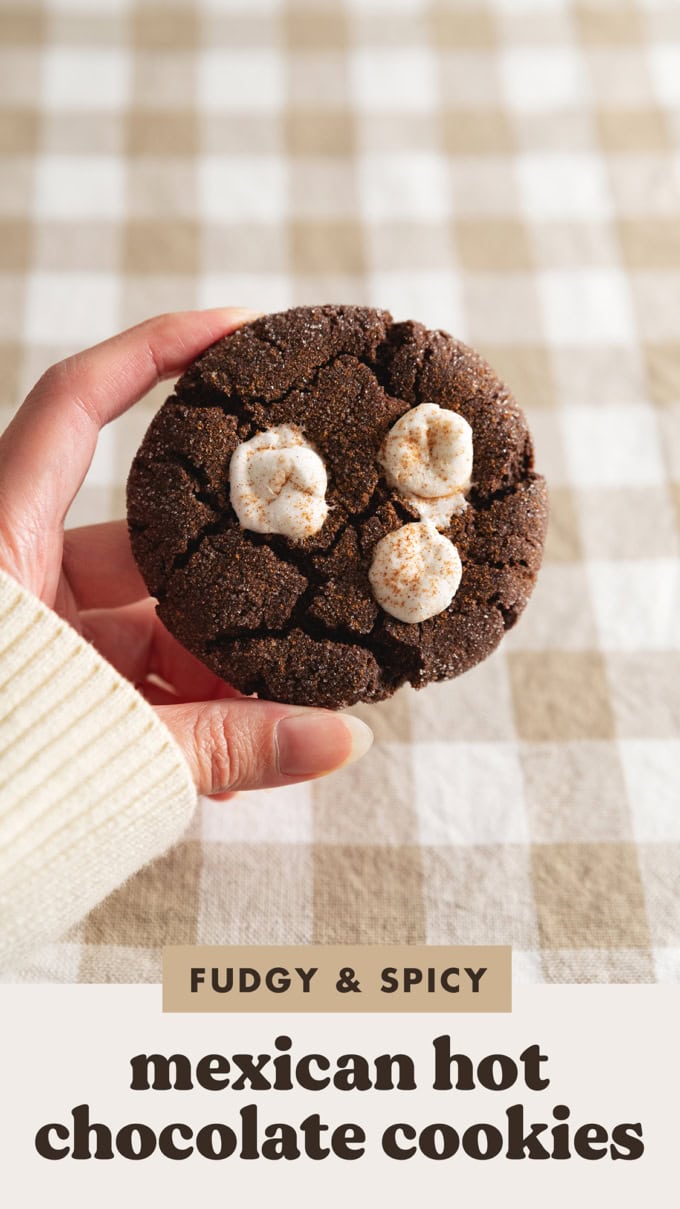A hand holding a Mexican hot chocolate cookie in front of a gingham tablecloth.