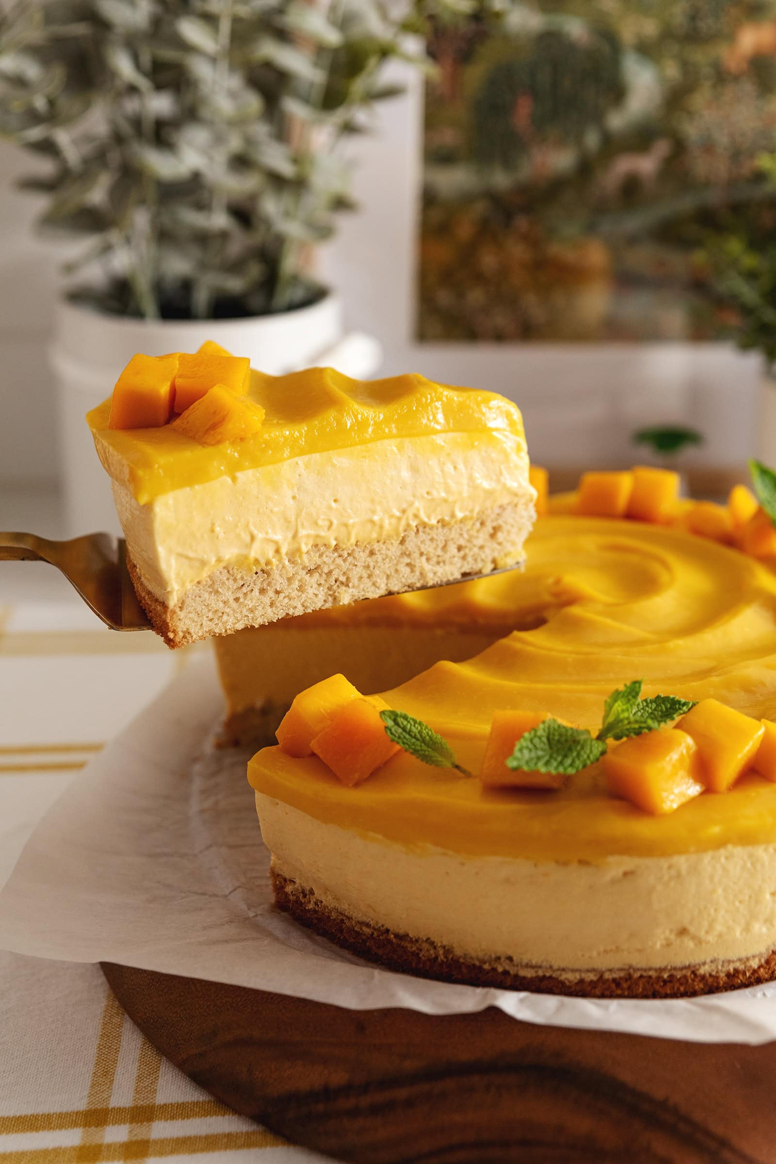 A slice of mango mousse cake being lifted above the rest of the cake to show the layers.