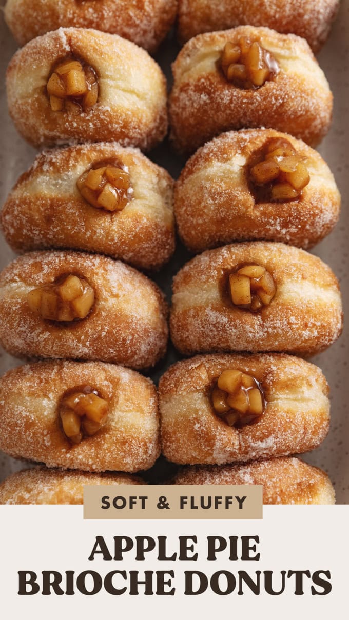 Top down view of two rows of apple pie donuts.